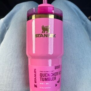 Wicked x Stanley tumbler 20 oz Glinda flowstate quencher tumbler